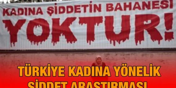 2024 Türkiye Kadına Yönelik Şiddet Araştırması