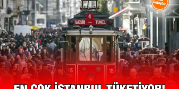 2024 Bölgesel Hanehalkı Tüketimleri