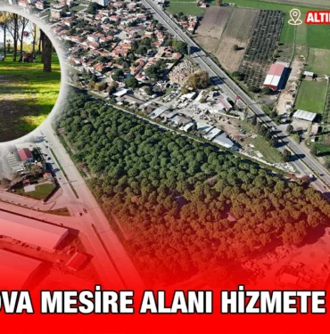 altinova_ayvalik_kriter_haber