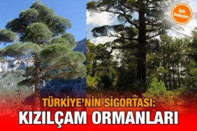 kizilcam_sig_kriter_haber