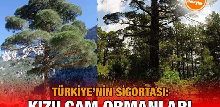 kizilcam_sig_kriter_haber