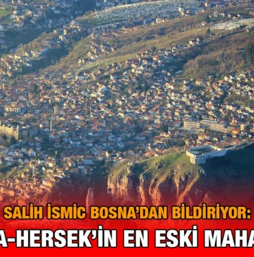 vratnik_si_kriter_haber