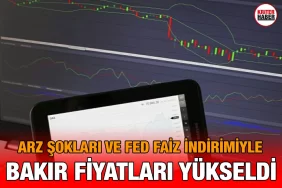 bakir_fed_kriter_haber