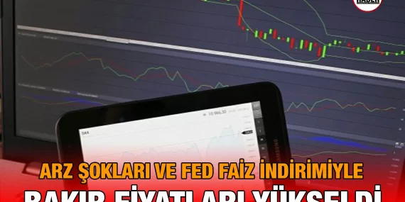 bakir_fed_kriter_haber