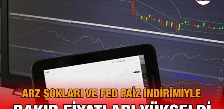 bakir_fed_kriter_haber