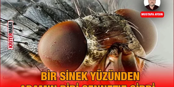 sinek_ma_kriter_haber