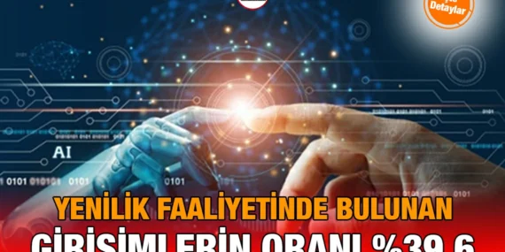 2024 Yenilik Araştırması