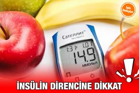 inculin_kriter_haber