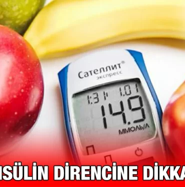 inculin_kriter_haber