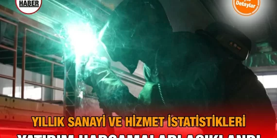 Yıllık Sanayi ve Hizmet İstatistikleri Yatırım Harcamaları, 2024