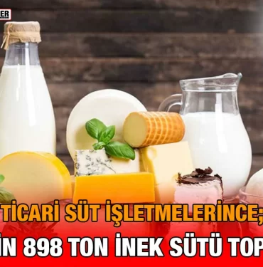 sut_toplama_kriter_haber