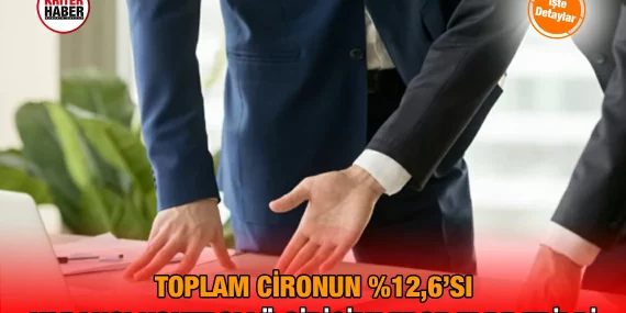 Yabancı Kontrollü Girişim İstatistikleri, 2024