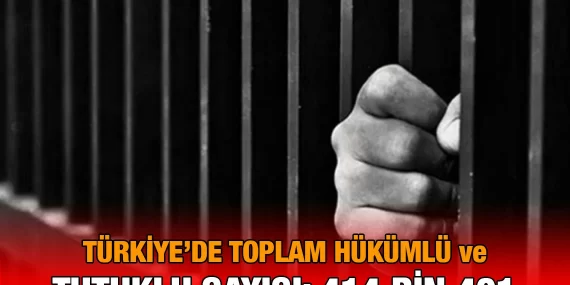 Cezaevi Nüfusu ve Hapsedilme Oranı