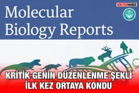 gen_duz_kriter_haber