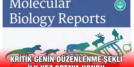 gen_duz_kriter_haber