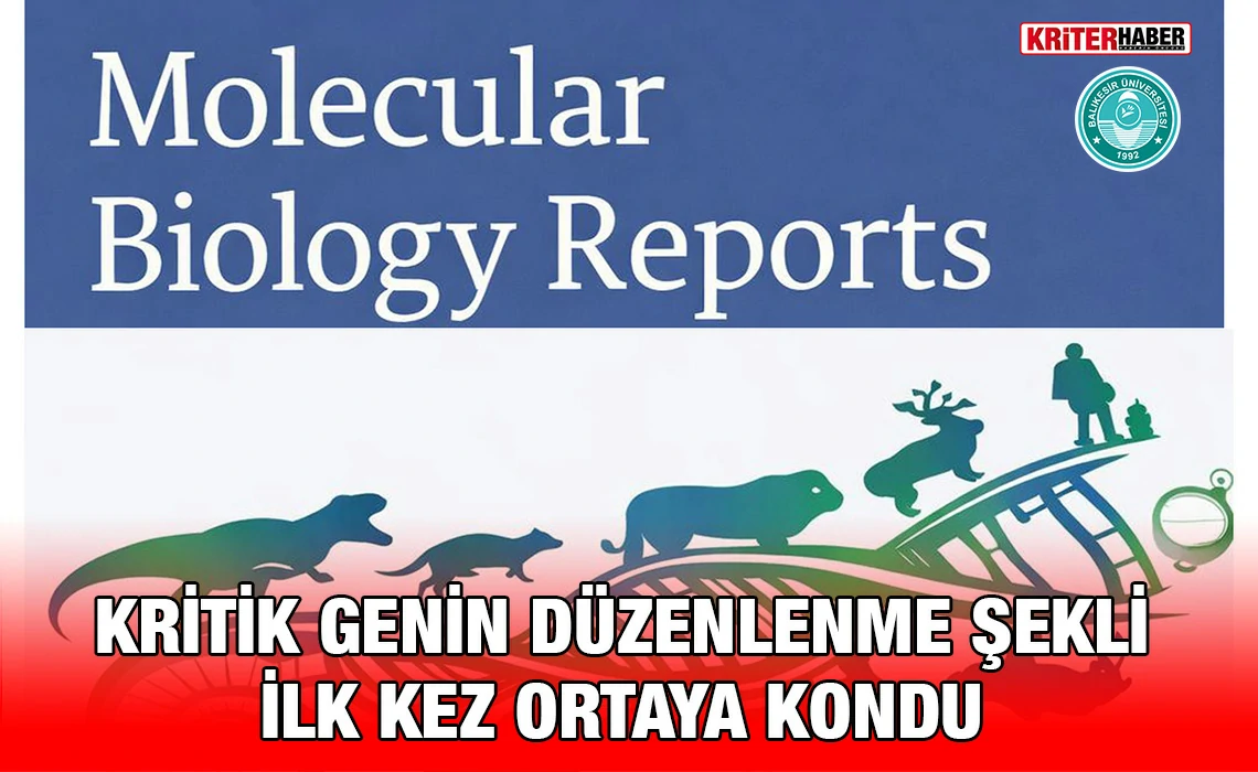 gen_duz_kriter_haber