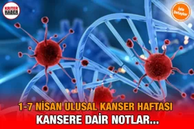 kanser_ulusal_kriter_haber