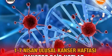 kanser_ulusal_kriter_haber