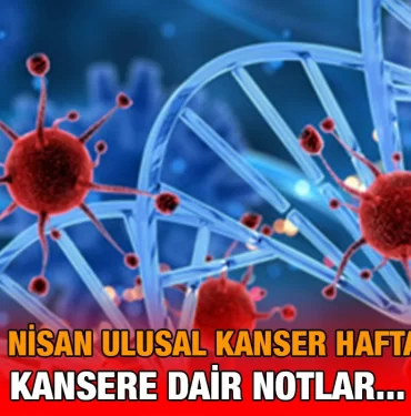 kanser_ulusal_kriter_haber