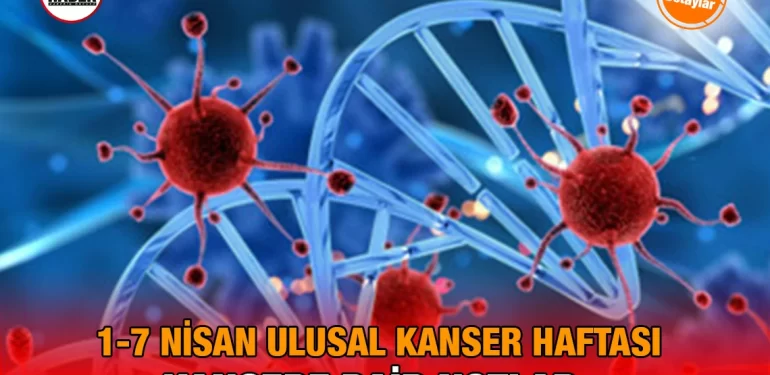 kanser_ulusal_kriter_haber