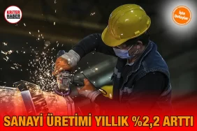 sanai_tuik_kriter_haber