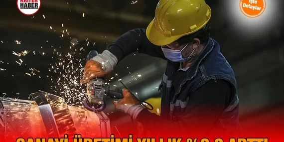 Şubat Sanayi Üretim Endeksi