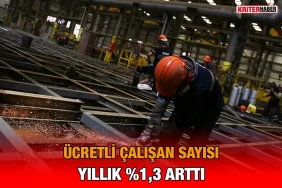 tuik_clsn_kriter_haber