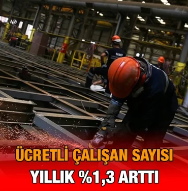 tuik_clsn_kriter_haber