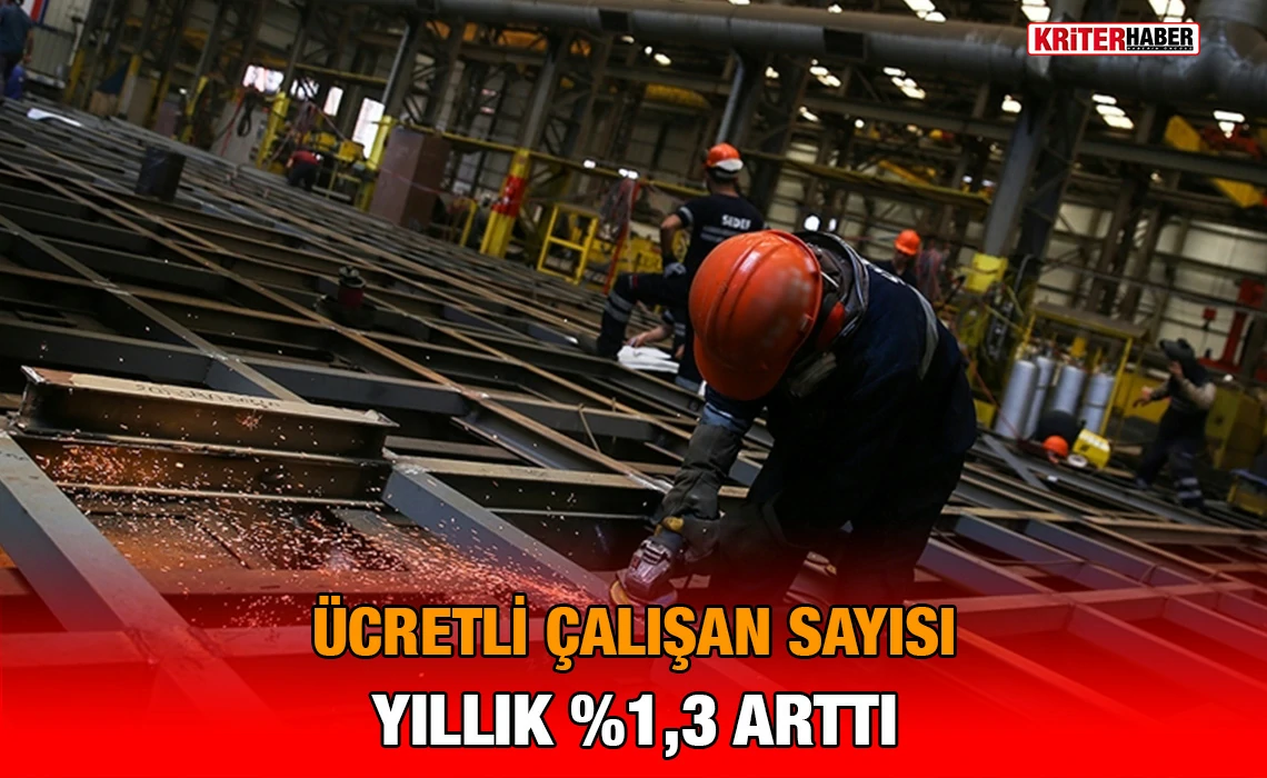 tuik_clsn_kriter_haber