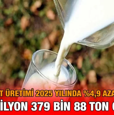2025cigsut_kriter_haber
