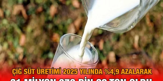 Çiğ Süt Üretim İstatistikleri, 2025