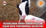 erken_donem_