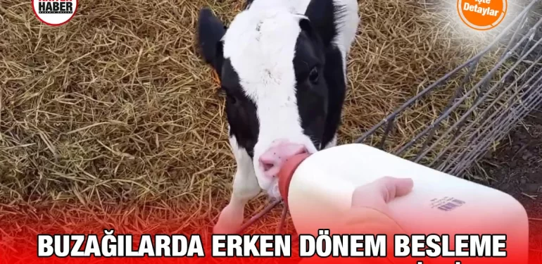 erken_donem_