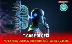 t_gase_kriter_haber