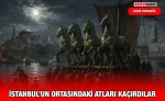 at_ry_kriter_haber