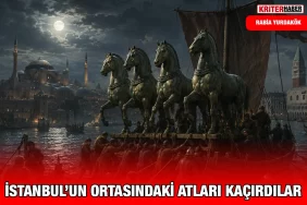 at_ry_kriter_haber