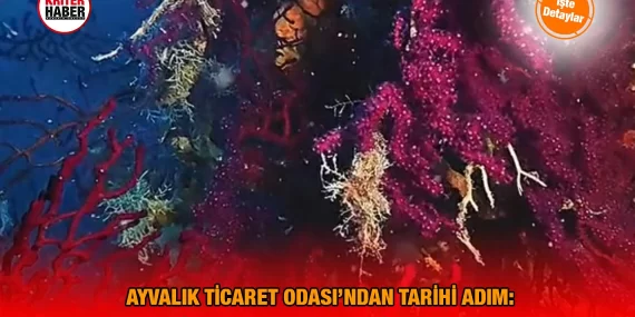 Su Altı Müzesi