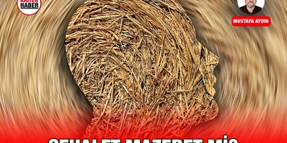 cehalet_ma_kriter_haber