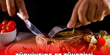 et_tuketimi_kriter_haber