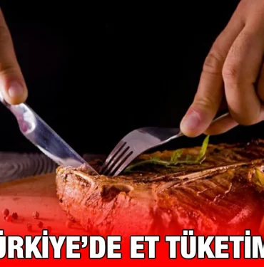 et_tuketimi_kriter_haber