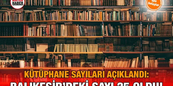 2025  Kütüphane İstatistikleri