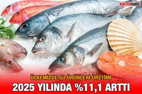 surunleri_25_kriter_haber