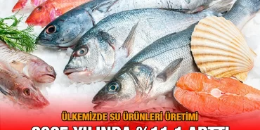 surunleri_25_kriter_haber