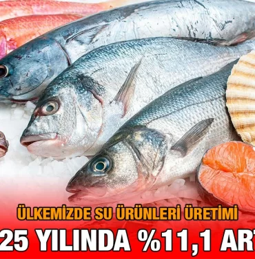 surunleri_25_kriter_haber