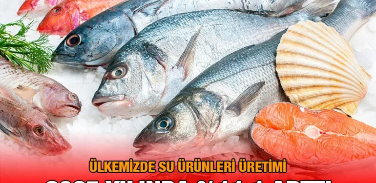 surunleri_25_kriter_haber