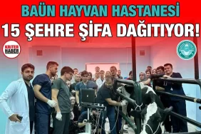 baun_hayvan_kriter_haber