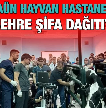 baun_hayvan_kriter_haber