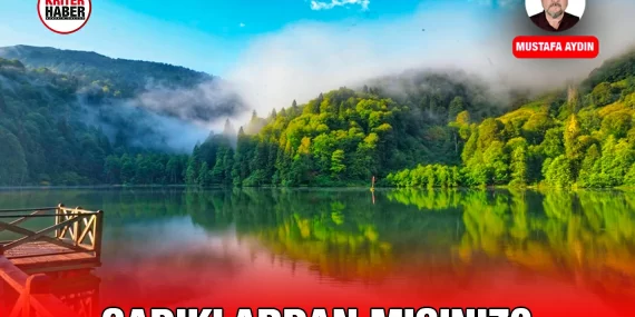 Teslim Olmak, Mümin Olmak?