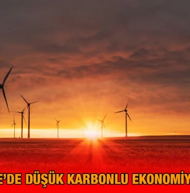 carbon_zero_kriter_haber