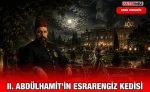 ıı.hamid_kedi_ry_kriter_haber